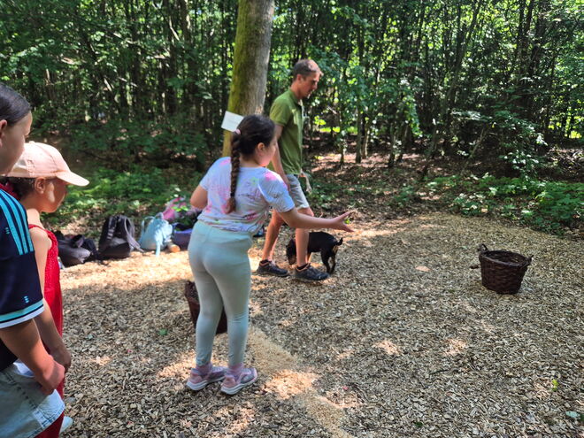 Waldjugendspiele (3)